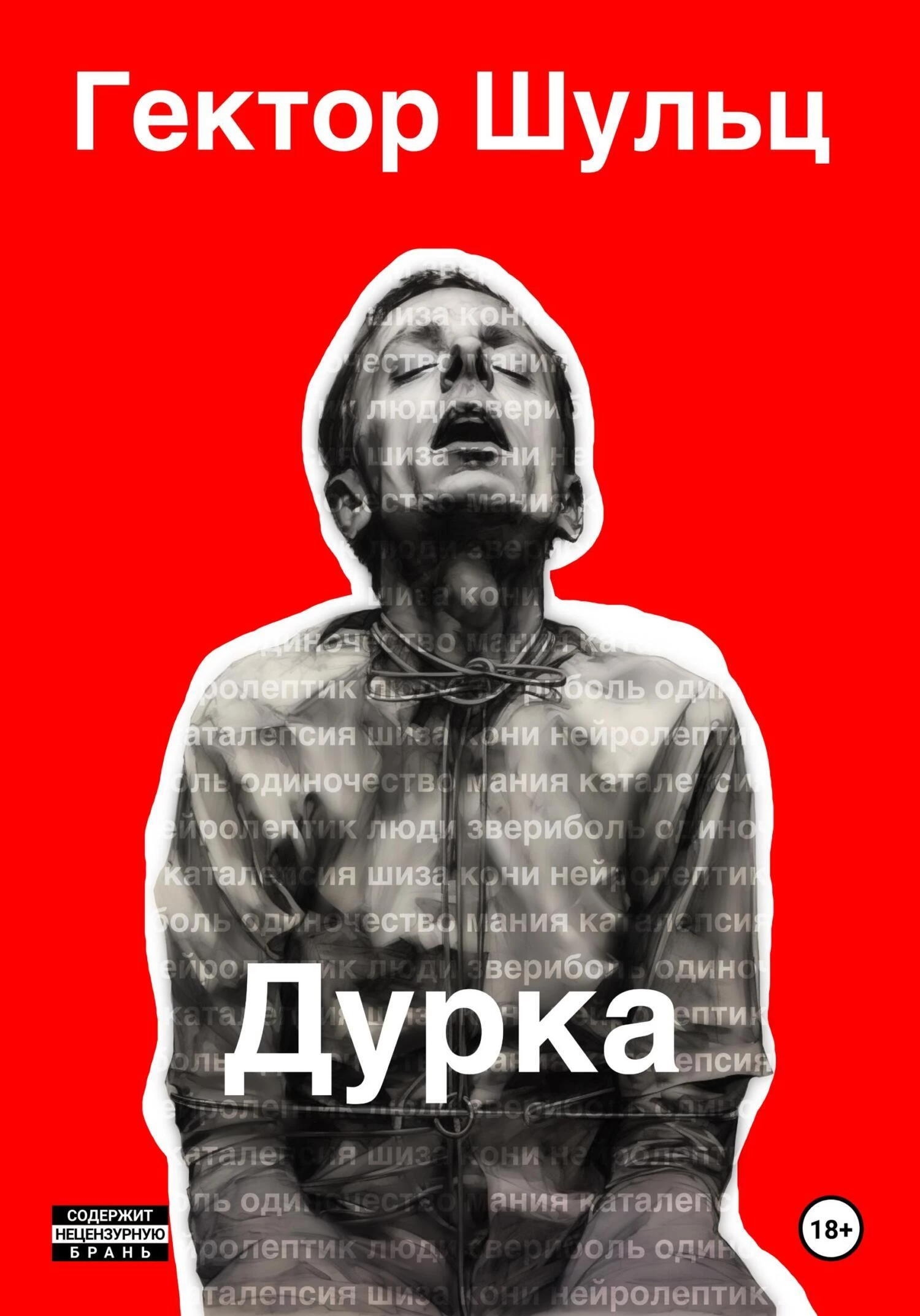 Дурка (скачать fb2) — Гектор Шульц